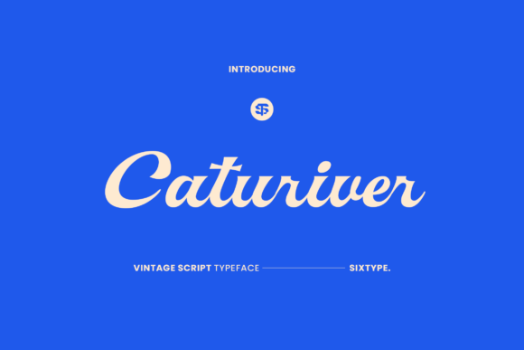 Caturiver: Capturing the Soul of Vintage Design